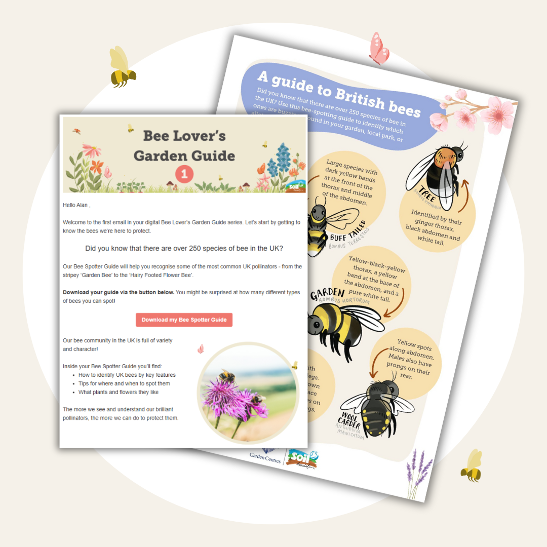 Pollinator Pack preview