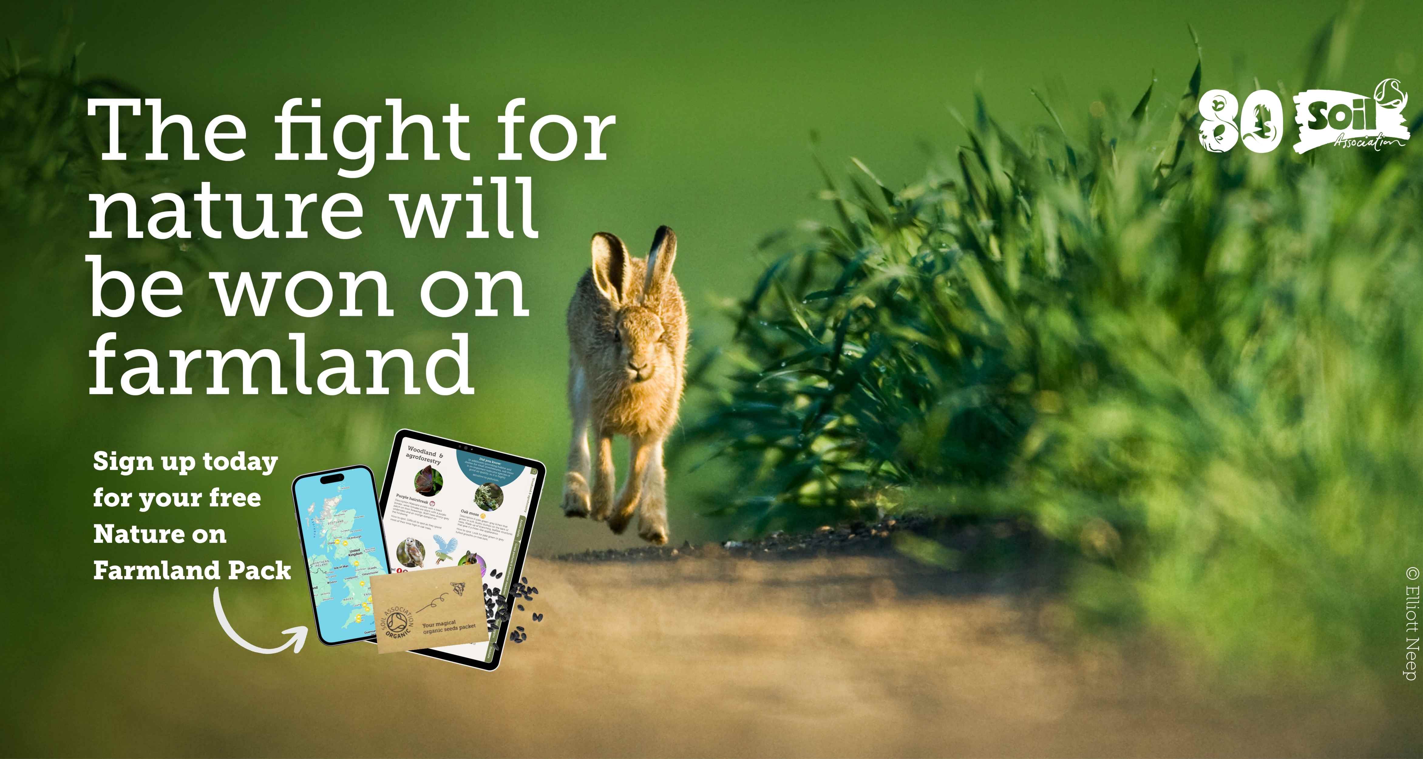 Image of a hare in a field with text overlay: 'The fight for nature will be won on farmland.'