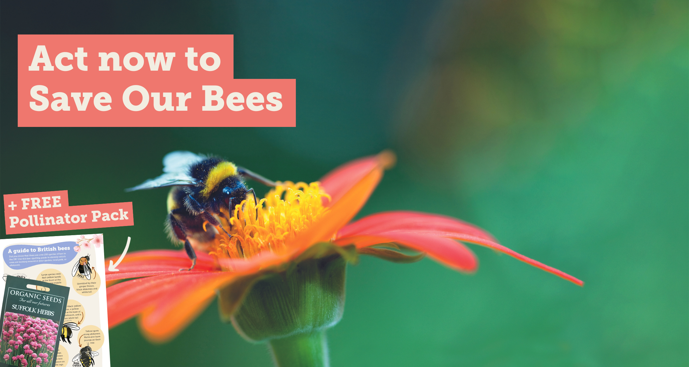 Image of bumblebee on a flower overlaid with the text: 'Act now to Save Our Bees' and '+ FREE Pollinator Pack'