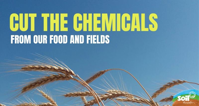 'Cut the Chemicals from our Food and Fields' overlaid onto image of wheat field