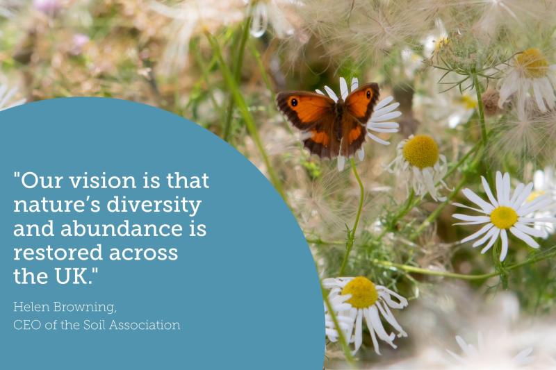 "Our vision is that nature’s diversity and abundance is restored across the UK."