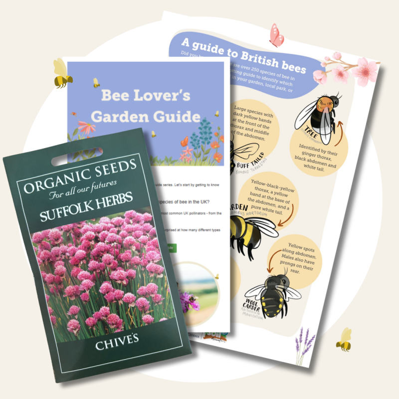 Pollinator Pack preview